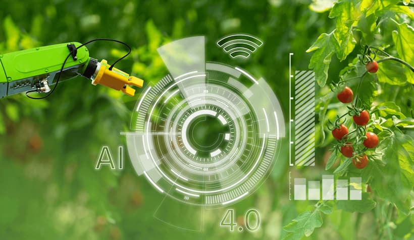 Proyecto AgrarIA: la inteligencia artificial en la cadena agroalimentaria