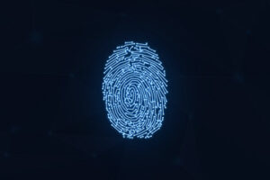 Ciberseguridad para empresas con teletrabajo