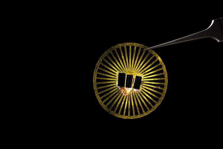 Sensores sin batería que flotan con el viento para recolectar datos