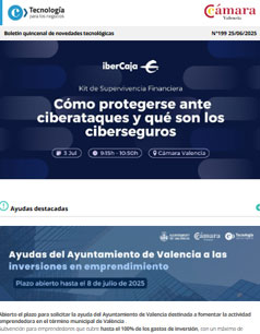 Cómo protegerse ante ciberataques y qué son los ciberseguros. Boletín 199