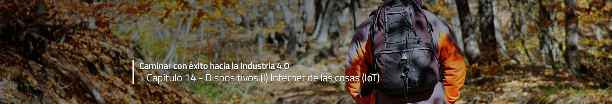 Caminar con éxito hacia la Industria 4.0: Capítulo 14 – Dispositivos (I) Internet de las cosas (IoT)