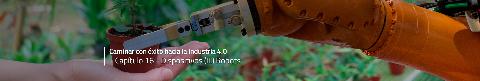 Caminar con éxito hacia la Industria 4.0: Capítulo 16 – Robots