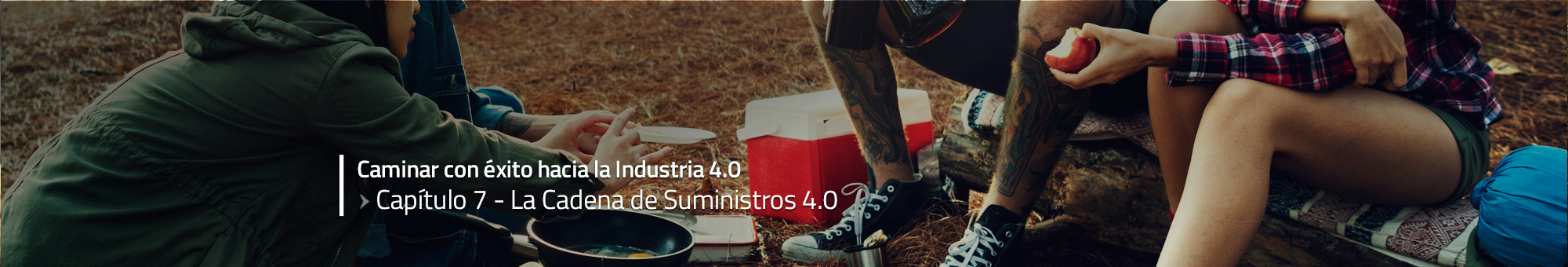 Caminar con éxito hacia la Industria 4.0: Capítulo 7 – La Cadena de Suministros 4.0